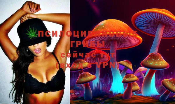 соль курить ск Алексин