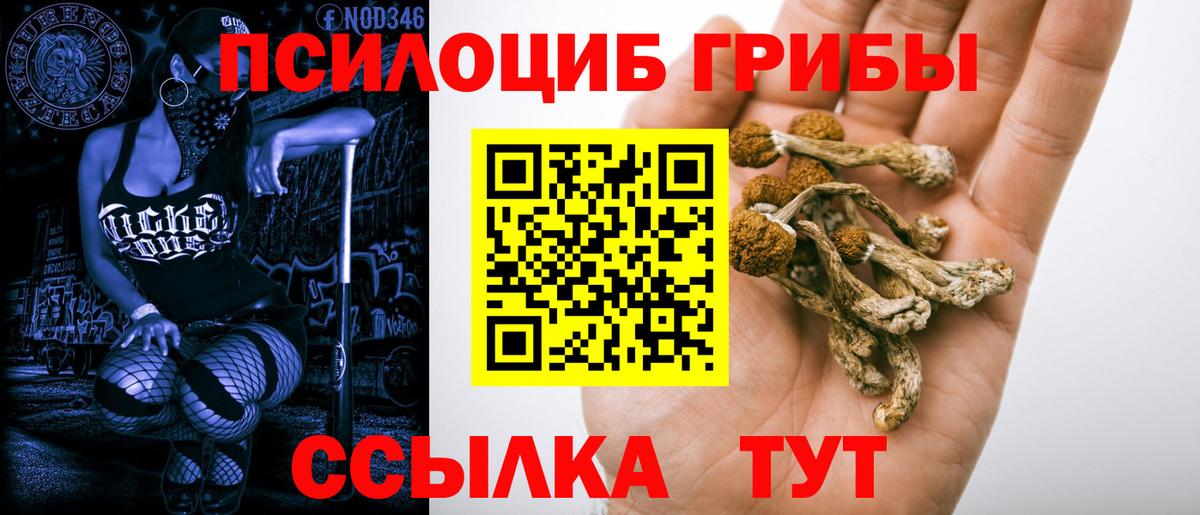 Североуральск  Галлюциногенные грибы Psilocybe  Вход с VPN 